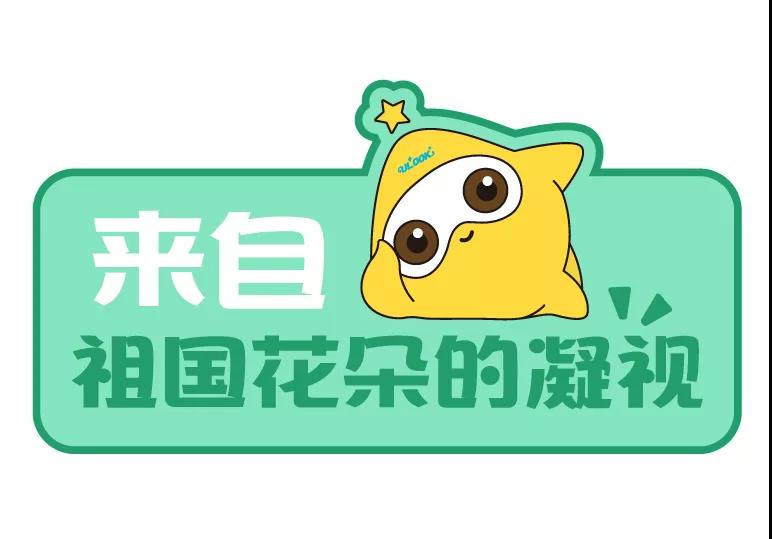 Ӯʡ(й)޹˾